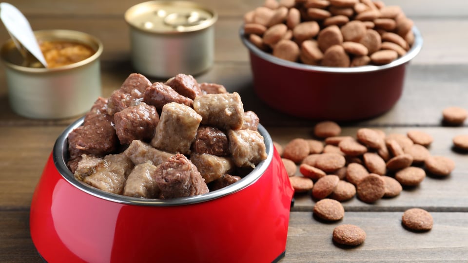 Labeling requirements for pet food (1)