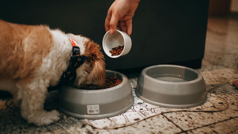 Labeling requirements for pet food (2)