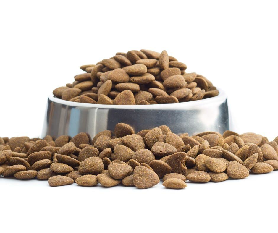 dry dog food