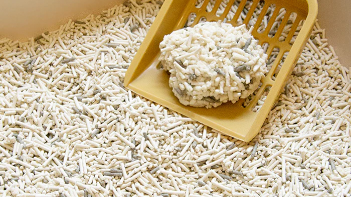 tofu cat litter