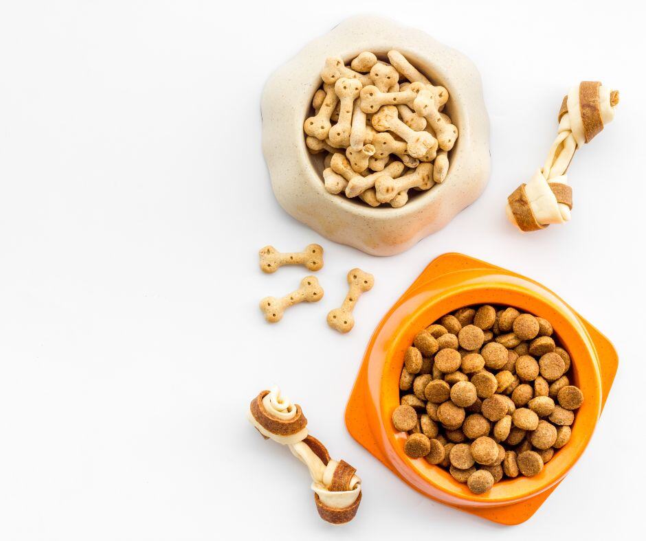 dry dog food